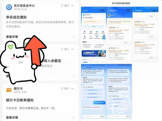 为抽红包反被冻结49万 支付宝余额宝存入容易提现难