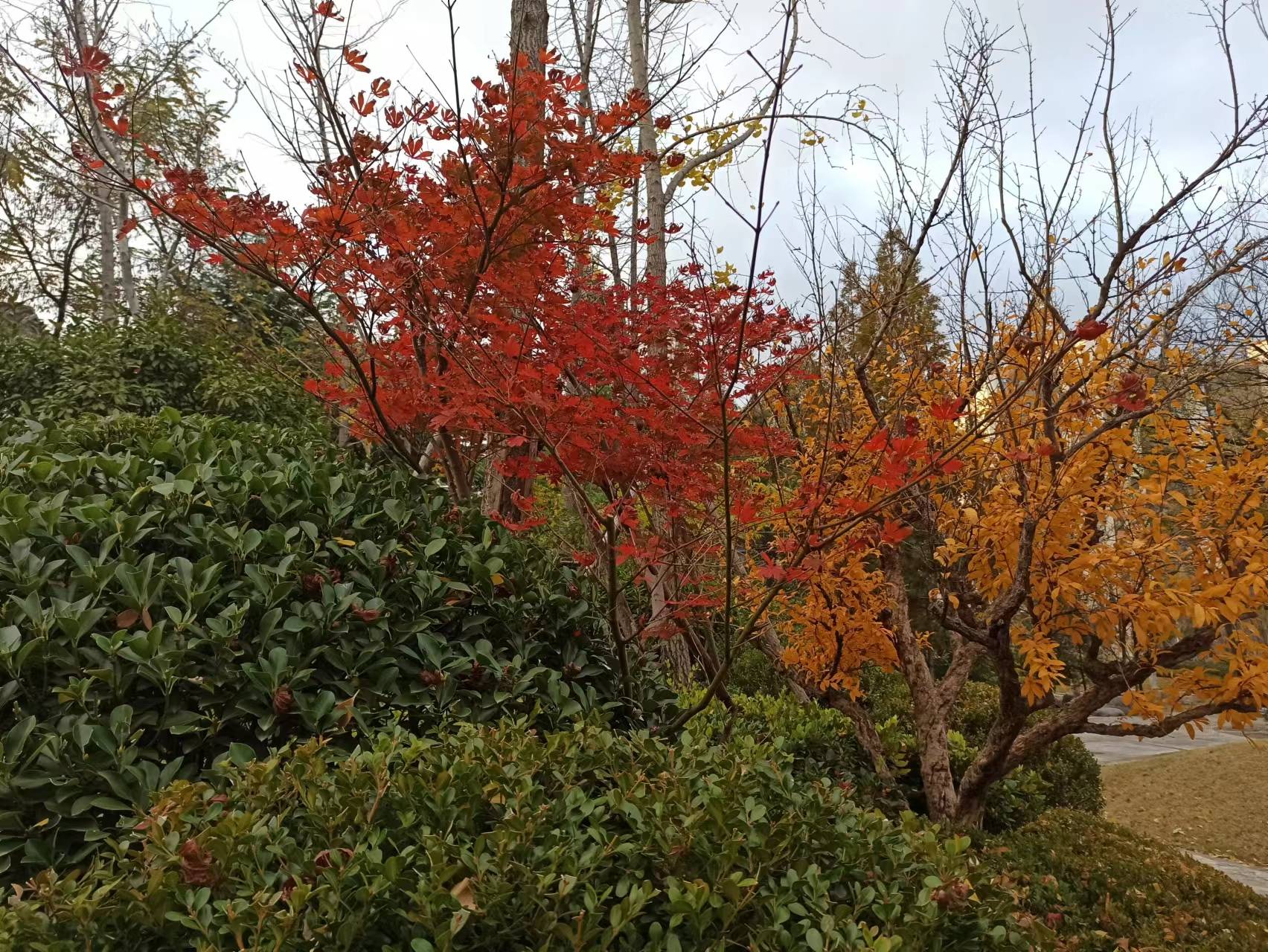 两个月，可以做出(chū)能赚钱的自(zì)媒(méi)体账号吗？答案是(shì)肯定的