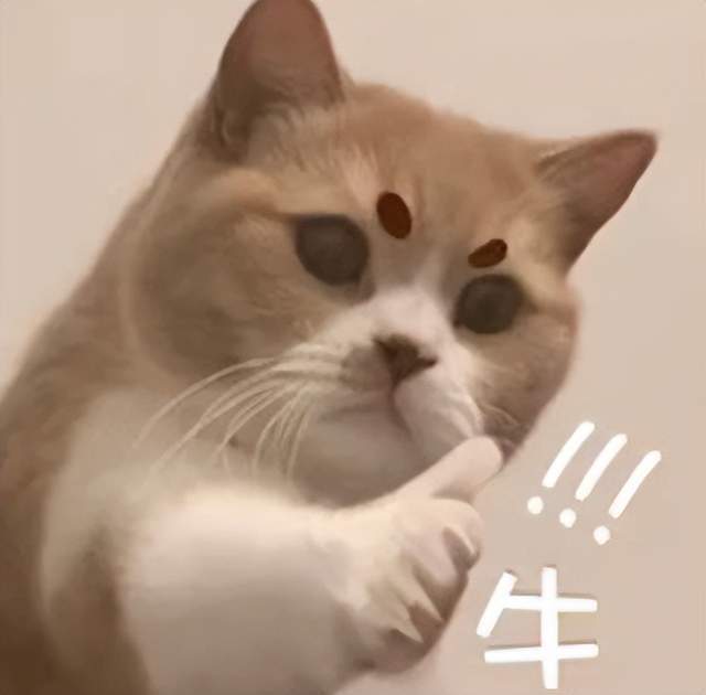 0压力过春节？这游戏用福利把我“宠废”了！还有霸总陪玩？